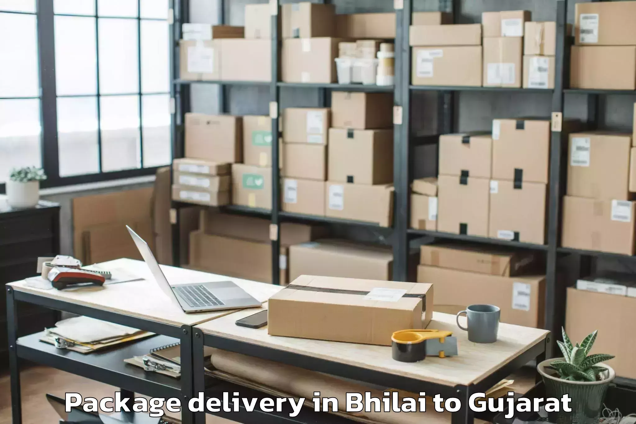 Professional Bhilai to Rajula Package Delivery